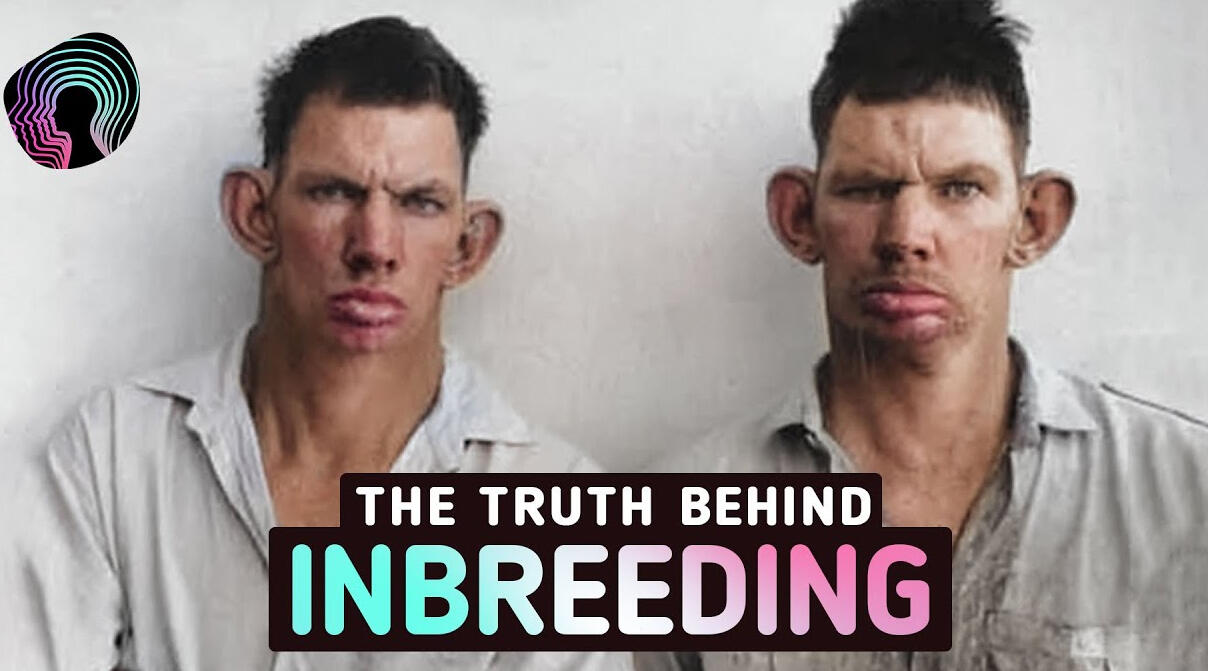 Why You Shouldn't Inbreed